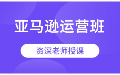 亚马逊运营班