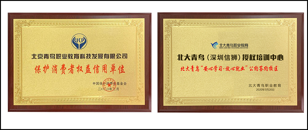 北大青鸟深圳信狮学校