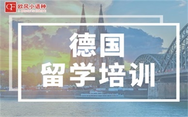 [德语出国课程]   德福直通车