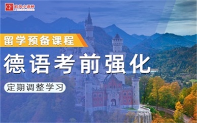 [德语VIP一对一]   APS面签一对一